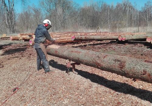 Das entrinden der Bäume erfolgt bei den Blockhausbauern mittels Schälscheibe & Schäleisen