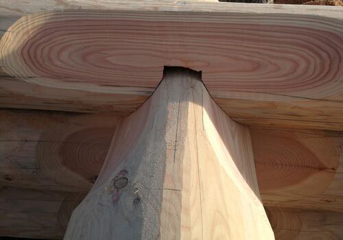 ...hier ist die Saddle Notch oder auch Sattelverkämmung sodann fertig ausgearbeitet...