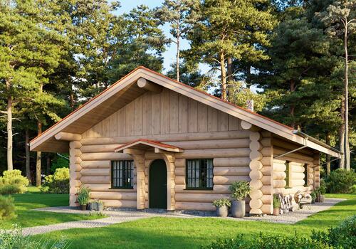 Blockhaus Black Creek Cabin_Ansicht vom Eingang