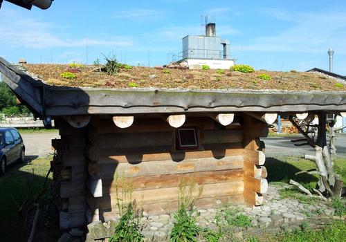 Die Blockhausbauer - Halbstammsauna mit Gründach