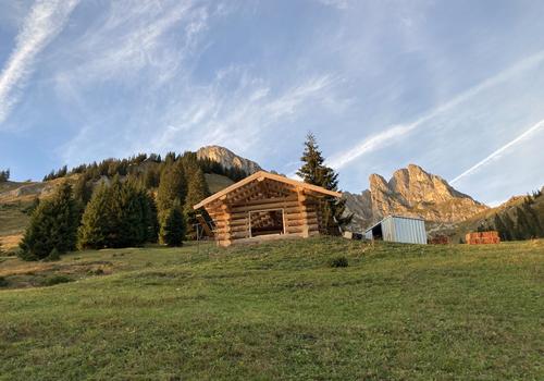 Blockhaus als Heustadl in Österreich