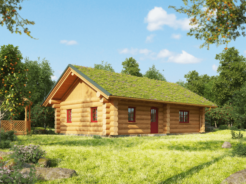 Kanadisches Blockhaus "Beaver Creek"