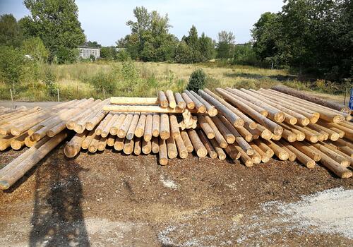 Stammholz im Stammholzlager