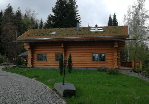 Gründach auf einem Blockhaus