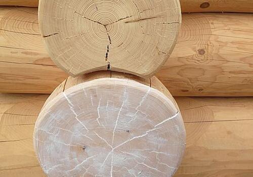 Naturstammhaus Vorköpfe