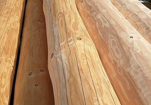 Farbveränderungen an einem Naturstamm