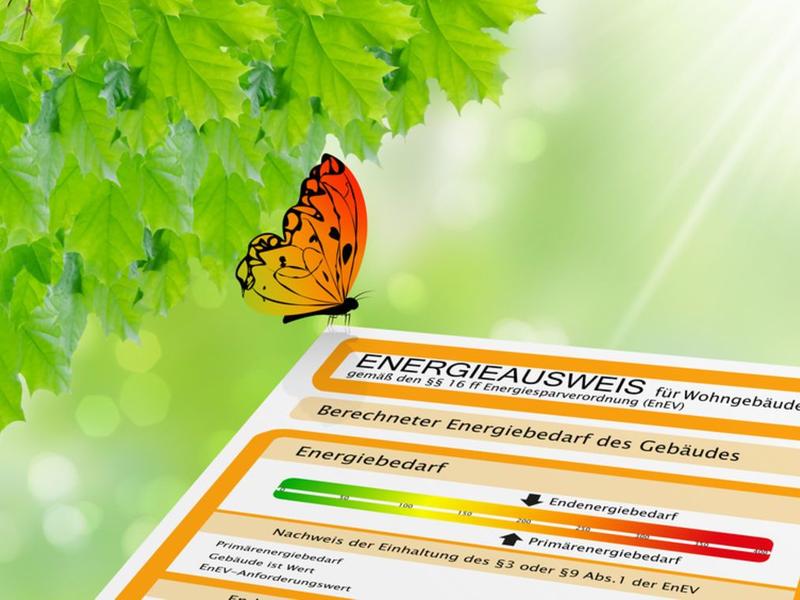 Symbolbild: ein Schmetterling ist auf einem Energieausweis gelandet